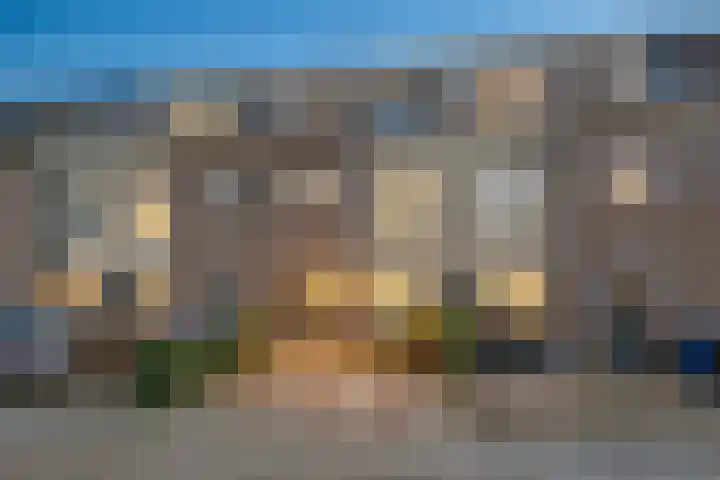 Alida de Jongstraat 38 Culemborg thumbnail 46