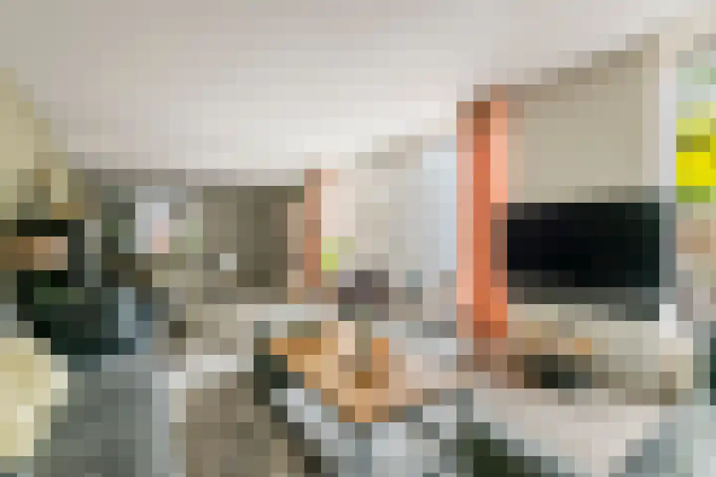 Alida de Jongstraat 61 Culemborg thumbnail 16