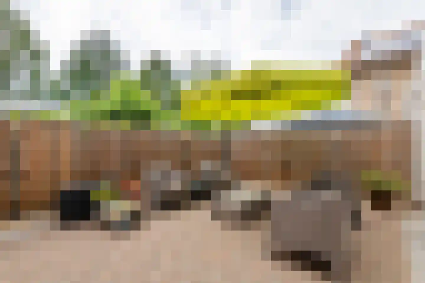 Alida de Jongstraat 61 Culemborg thumbnail 18