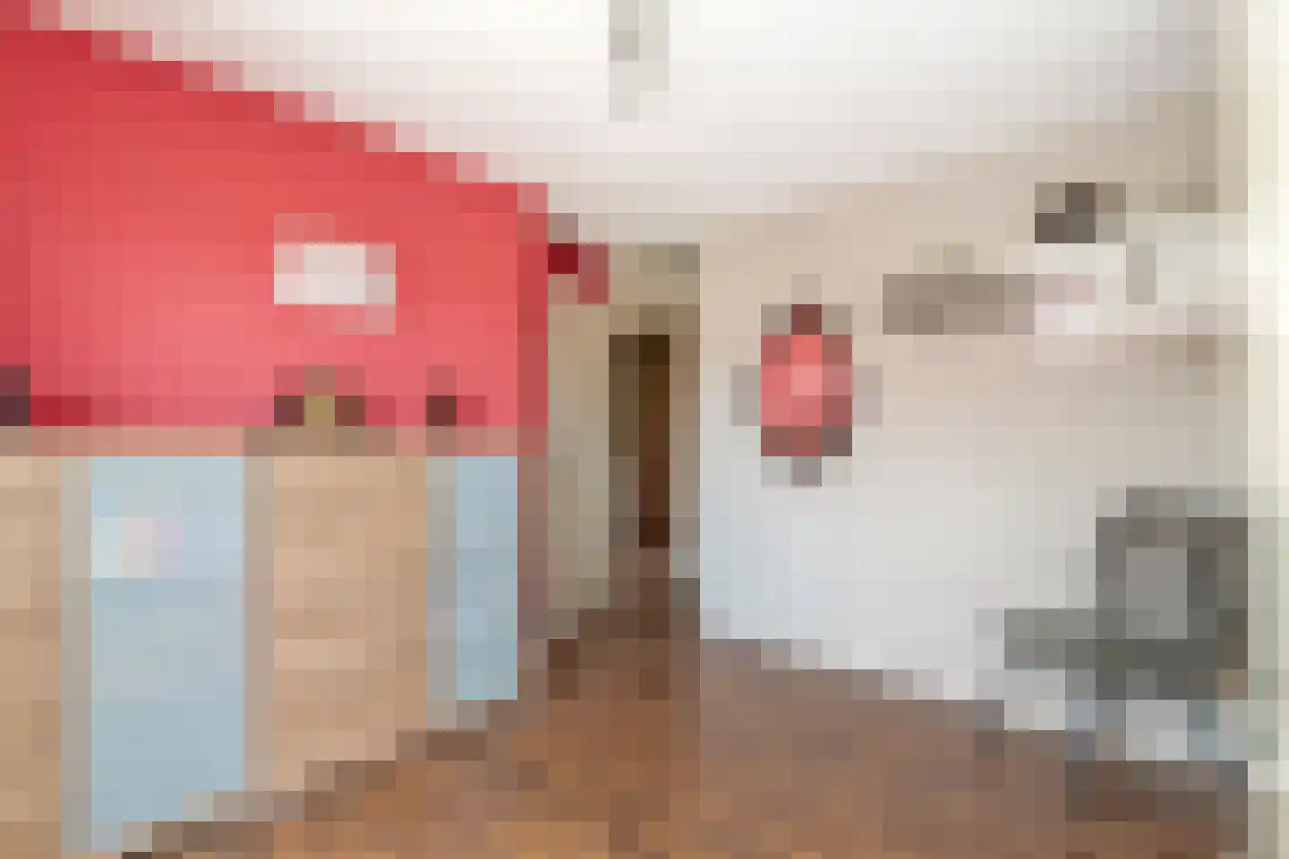 Alida de Jongstraat 61 Culemborg thumbnail 31