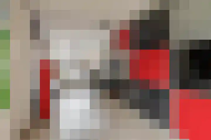 Alida Tartaud-Kleinstraat 64 Rotterdam thumbnail 32