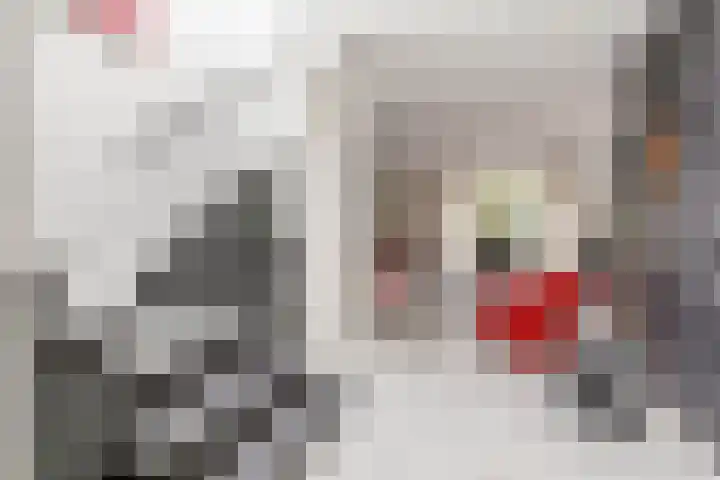 Alida Tartaud-Kleinstraat 64 Rotterdam thumbnail 34