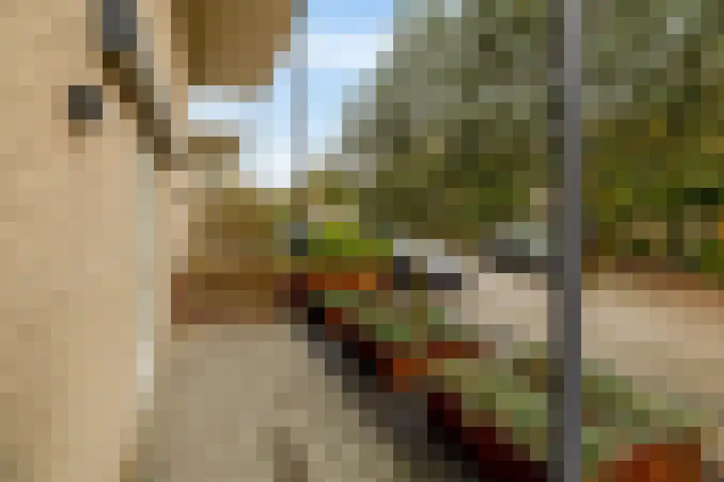 Alida Tartaud-Kleinstraat 68 Rotterdam thumbnail 10