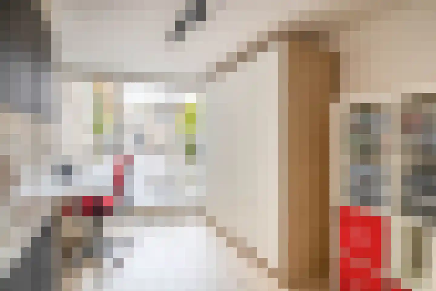 Alida Tartaud-Kleinstraat 68 Rotterdam thumbnail 20