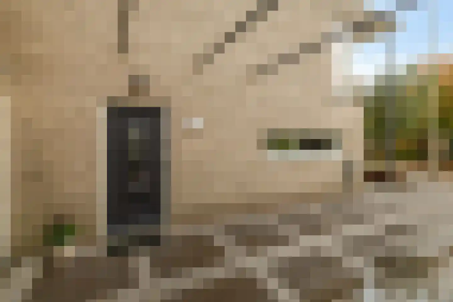 Alida Tartaud-Kleinstraat 68 Rotterdam thumbnail 9