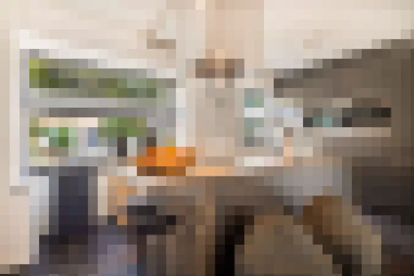 Alie Postmastraat 17 Schagen thumbnail 18