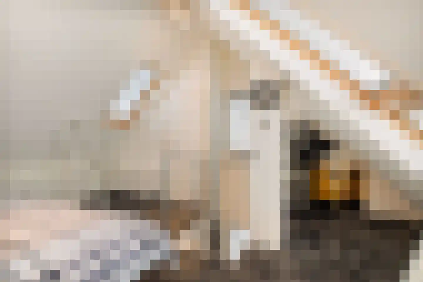 Alie Postmastraat 17 Schagen thumbnail 23