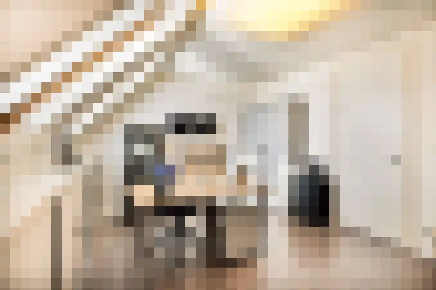Alie Postmastraat 17 Schagen thumbnail 26