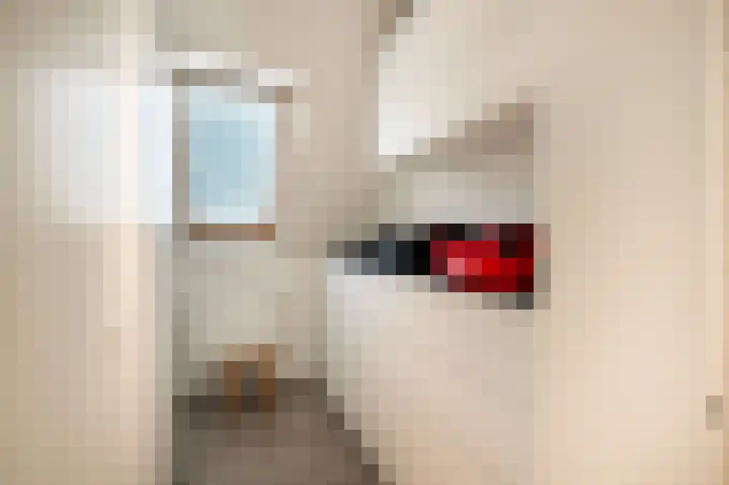 Alie Postmastraat 17 Schagen thumbnail 28