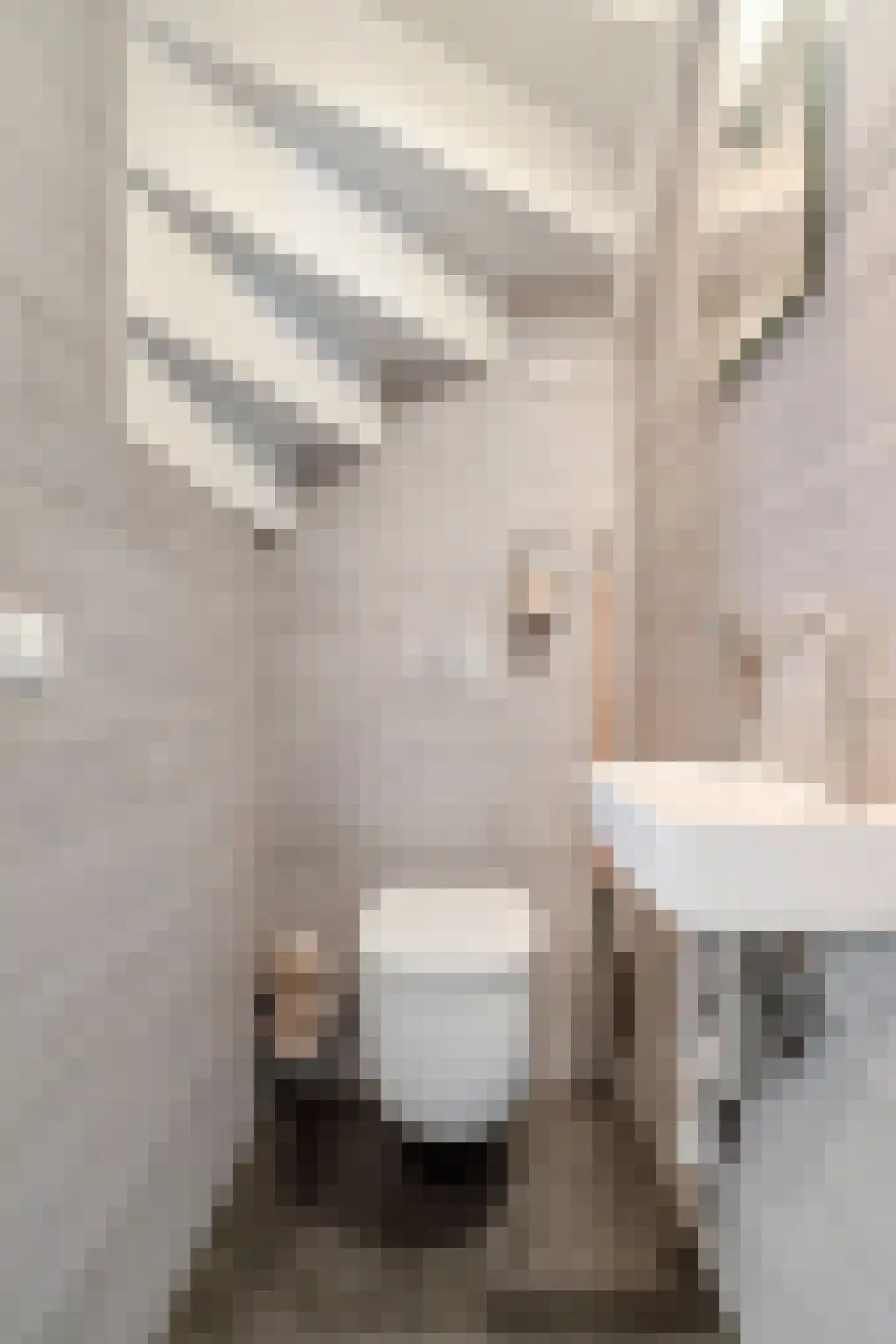 Alie Postmastraat 17 Schagen thumbnail 7