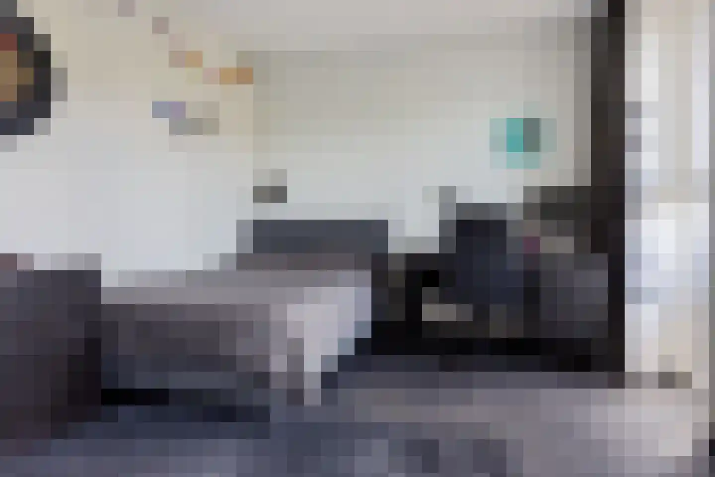 Aliehoeve 11 Joure thumbnail 10