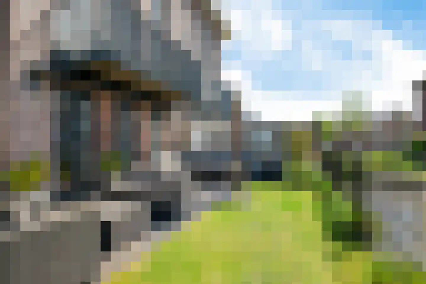 Aliehoeve 11 Joure thumbnail 16