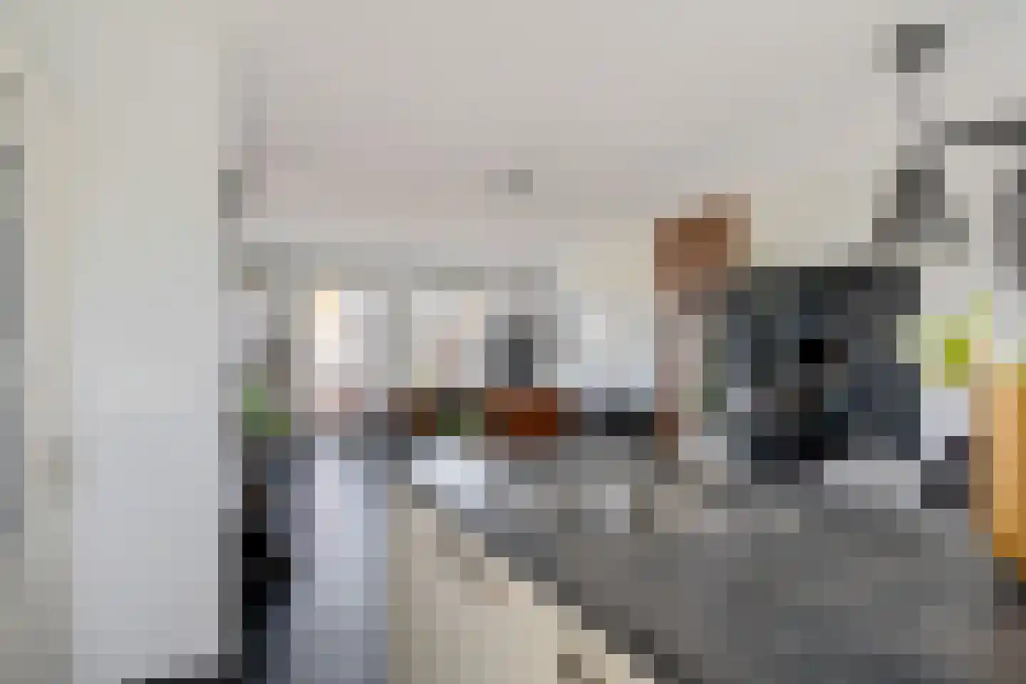 Aliehoeve 11 Joure thumbnail 23