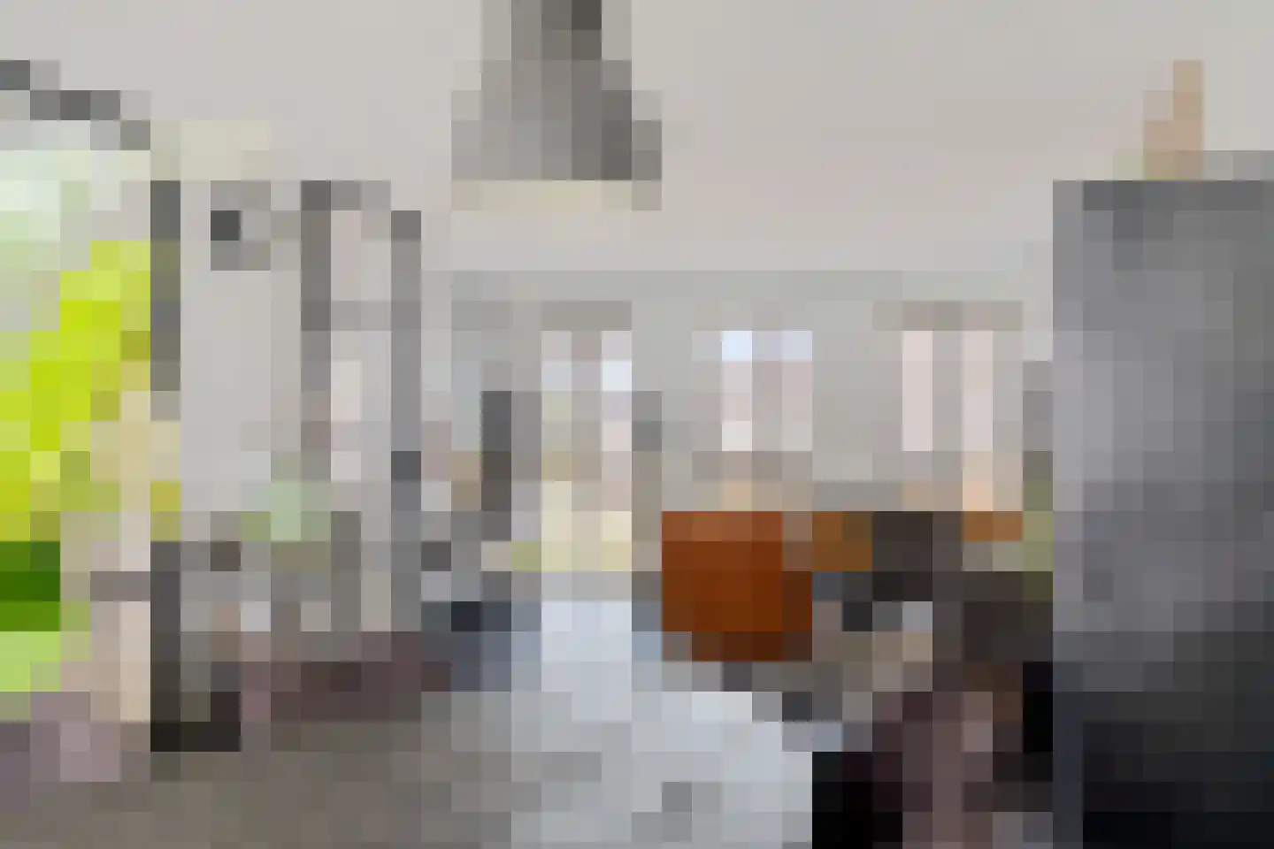 Aliehoeve 11 Joure thumbnail 24