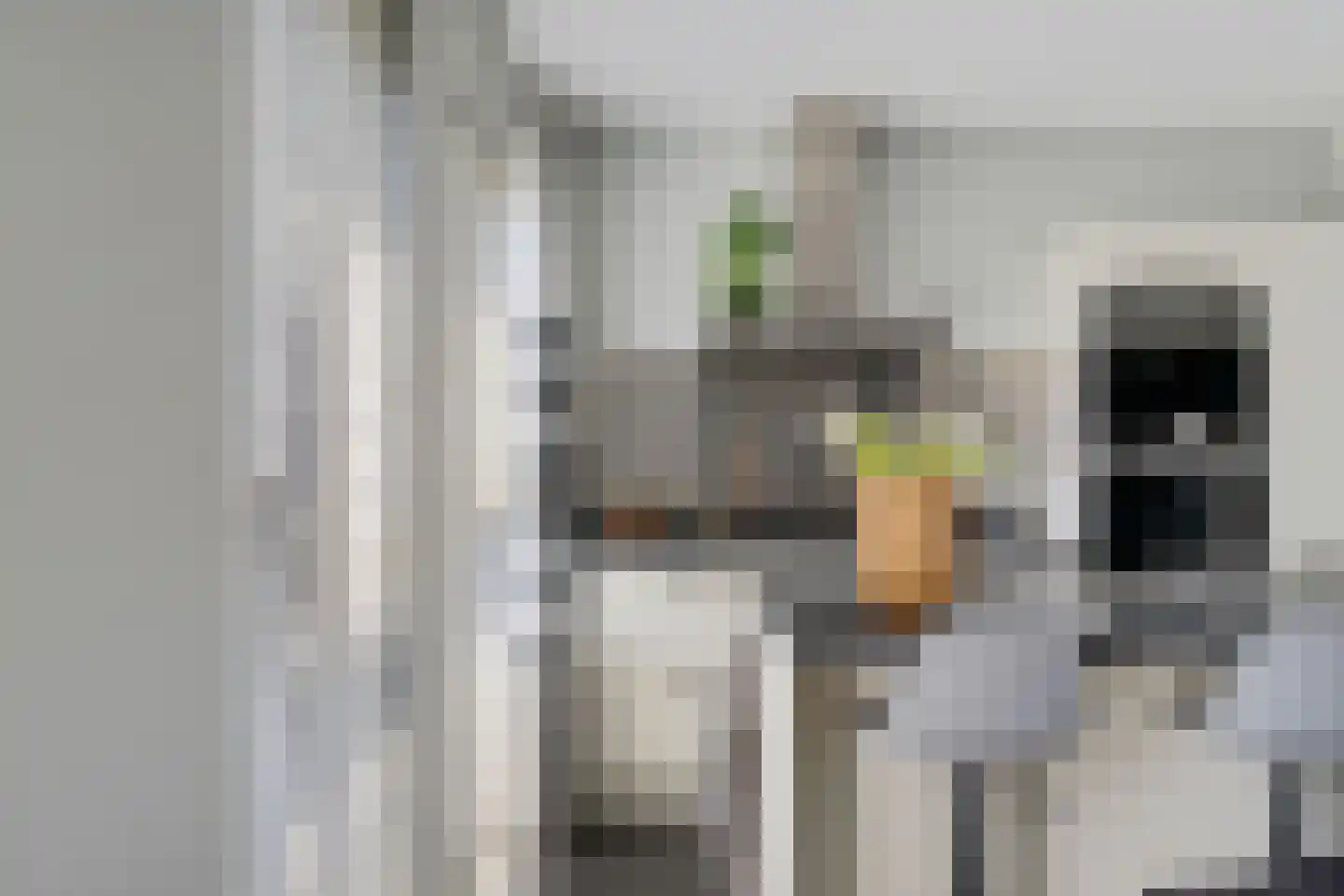 Aliehoeve 11 Joure thumbnail 25