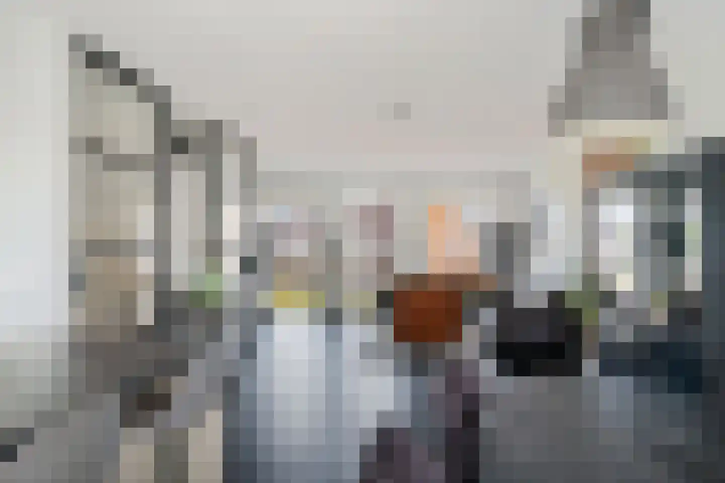Aliehoeve 11 Joure thumbnail 31