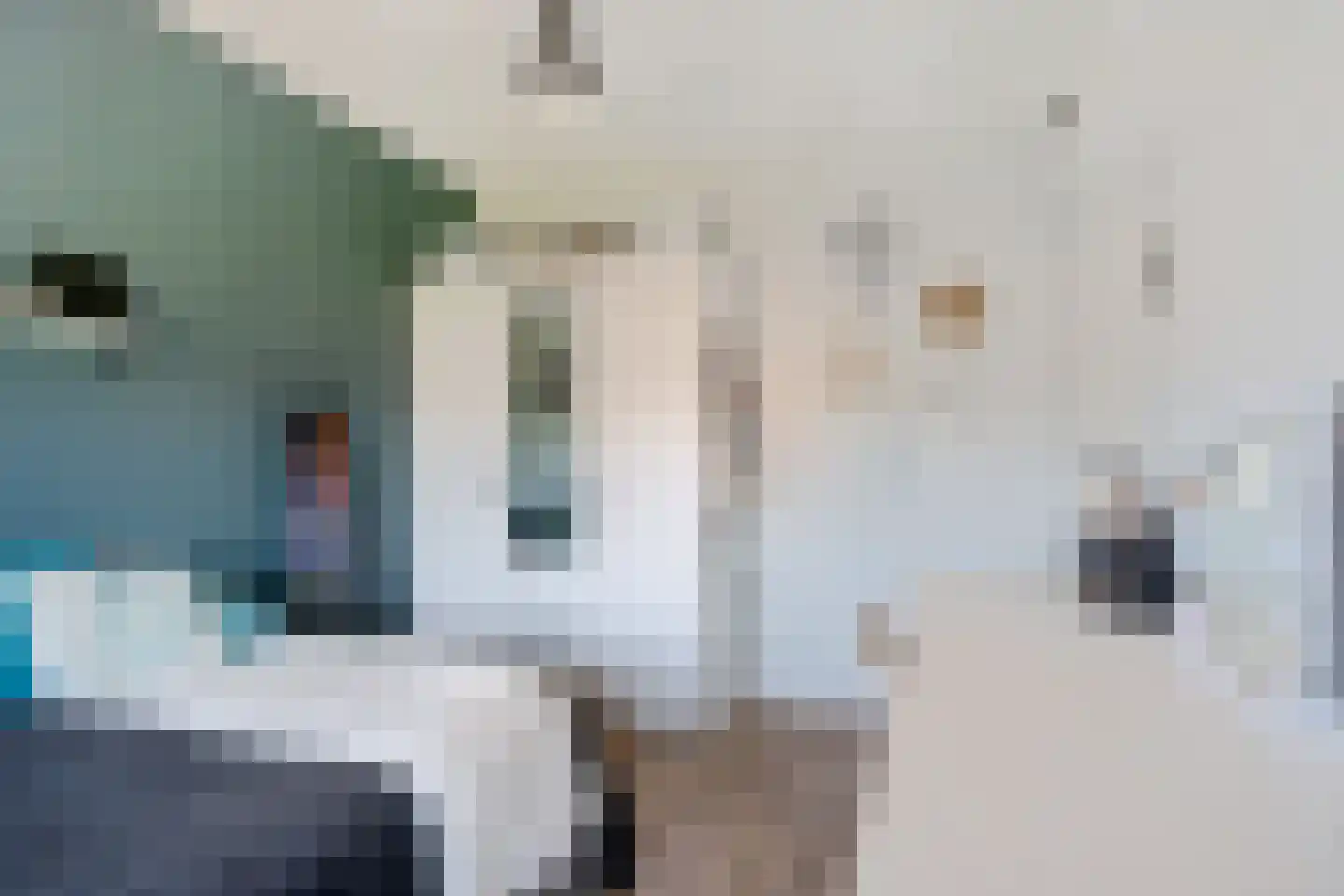 Aliehoeve 11 Joure thumbnail 38