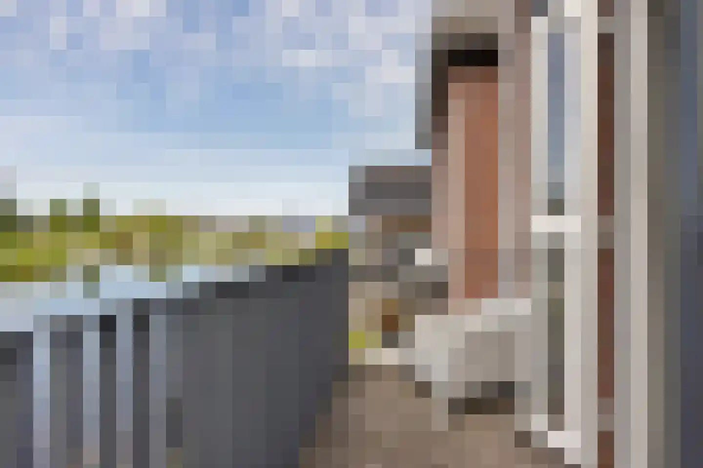 Aliehoeve 11 Joure thumbnail 51