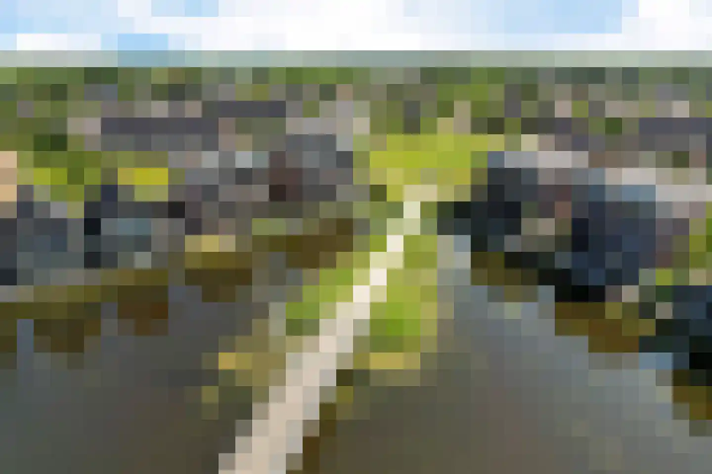 Aliehoeve 11 Joure thumbnail 58