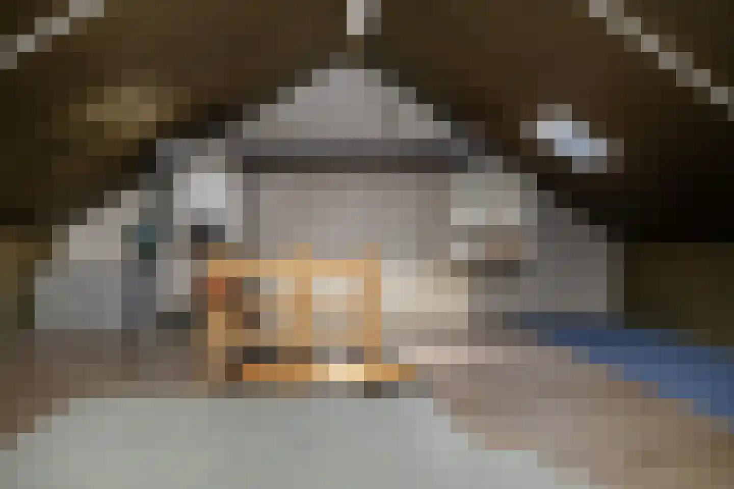 Aliehoeve 44 Joure thumbnail 14