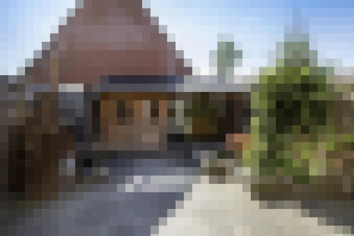 Aliehoeve 44 Joure thumbnail 16