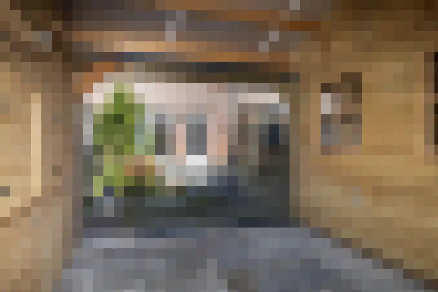 Aliehoeve 44 Joure thumbnail 17