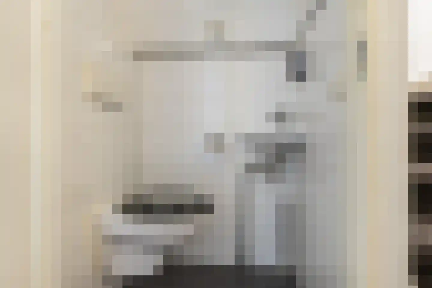 Aliehoeve 44 Joure thumbnail 7