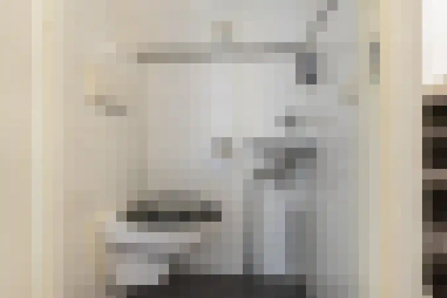Aliehoeve 44 Joure thumbnail 7