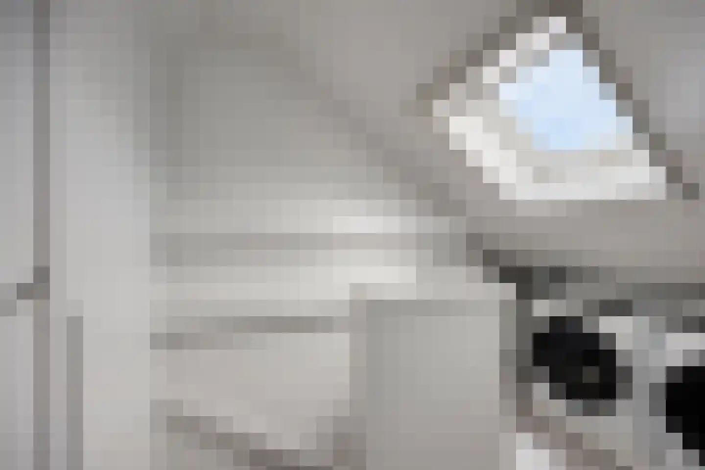 Alikruik 14 Hellevoetsluis thumbnail 22