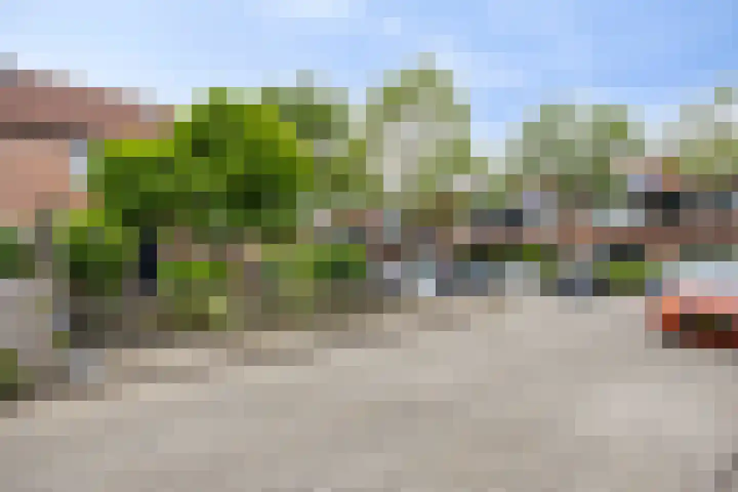 Alikruik 14 Hellevoetsluis thumbnail 30