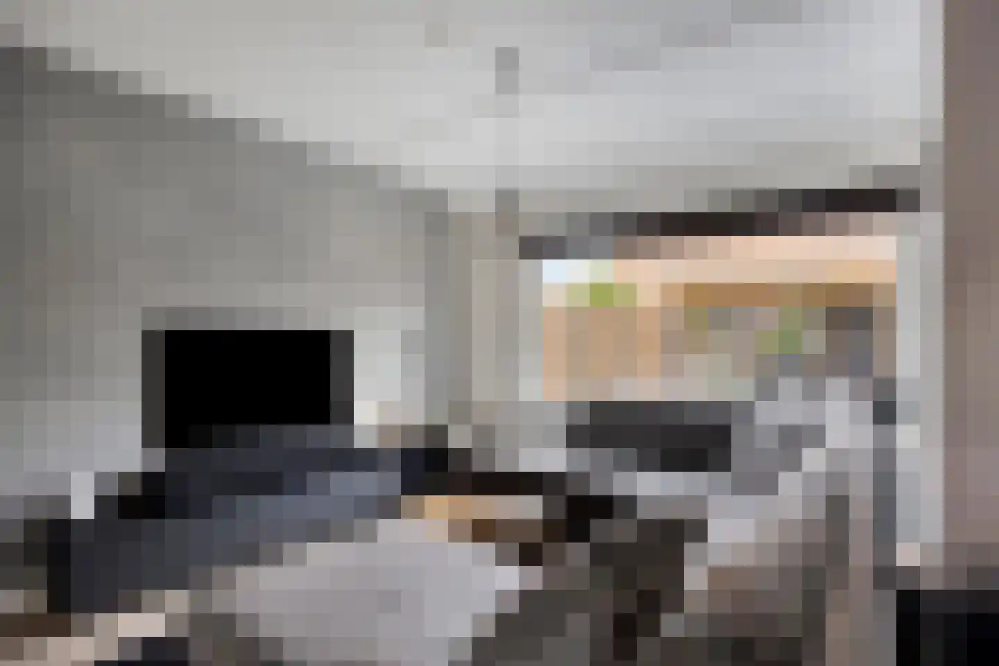 Alikruik 14 Hellevoetsluis thumbnail 5