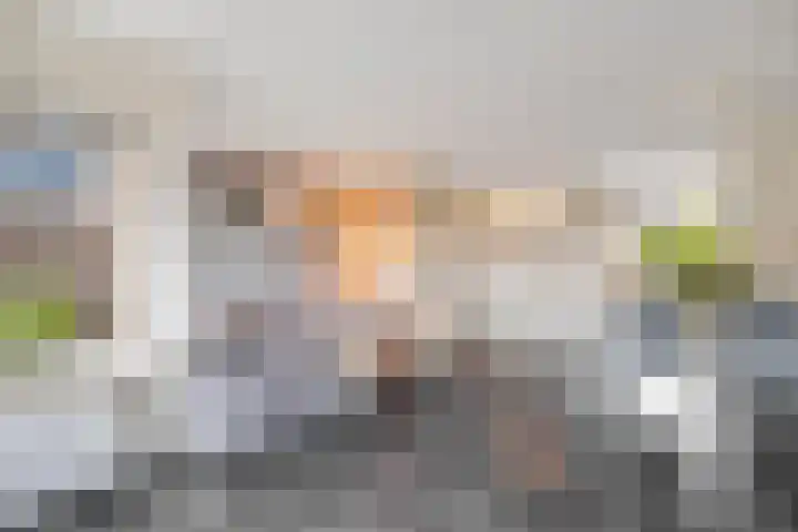 Alikruik 22 Hellevoetsluis thumbnail 12