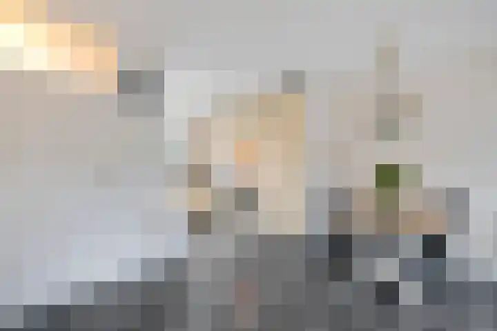 Alikruik 22 Hellevoetsluis thumbnail 13