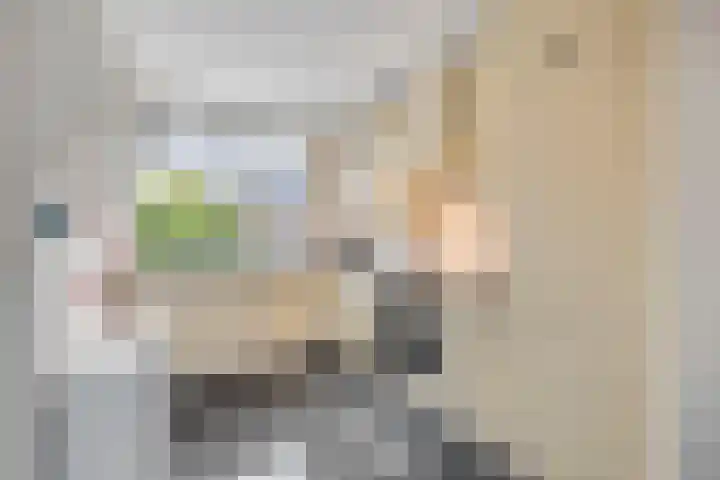 Alikruik 22 Hellevoetsluis thumbnail 14