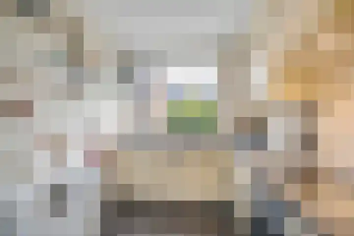 Alikruik 22 Hellevoetsluis thumbnail 15