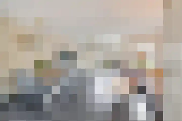 Alikruik 22 Hellevoetsluis thumbnail 16