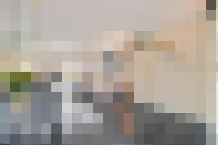 Alikruik 22 Hellevoetsluis thumbnail 17