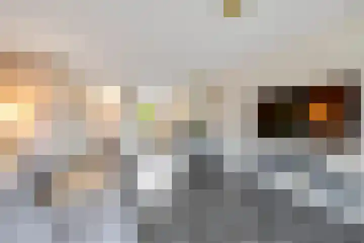 Alikruik 22 Hellevoetsluis thumbnail 18