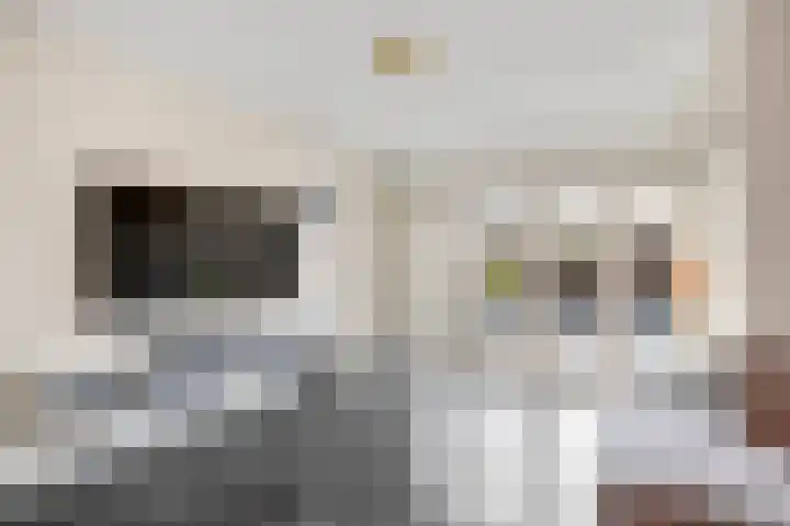 Alikruik 22 Hellevoetsluis thumbnail 20