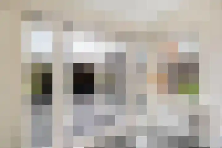 Alikruik 22 Hellevoetsluis thumbnail 21