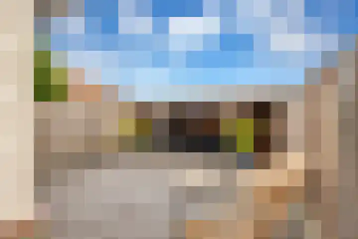 Alikruik 22 Hellevoetsluis thumbnail 23