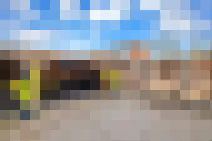 Alikruik 22 Hellevoetsluis thumbnail 24