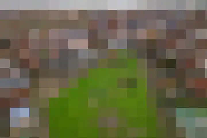 Alikruik 22 Hellevoetsluis thumbnail 28