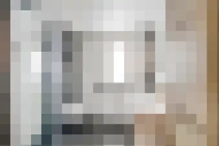 Alikruik 22 Hellevoetsluis thumbnail 4