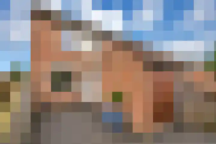 Alikruik 22 Hellevoetsluis thumbnail 7