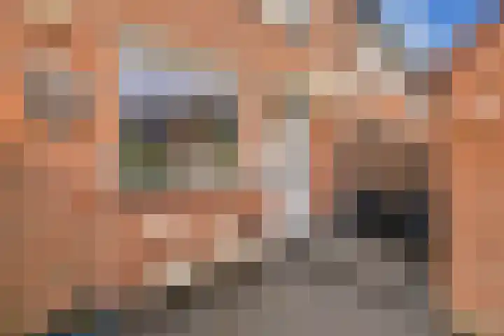 Alikruik 22 Hellevoetsluis thumbnail 9