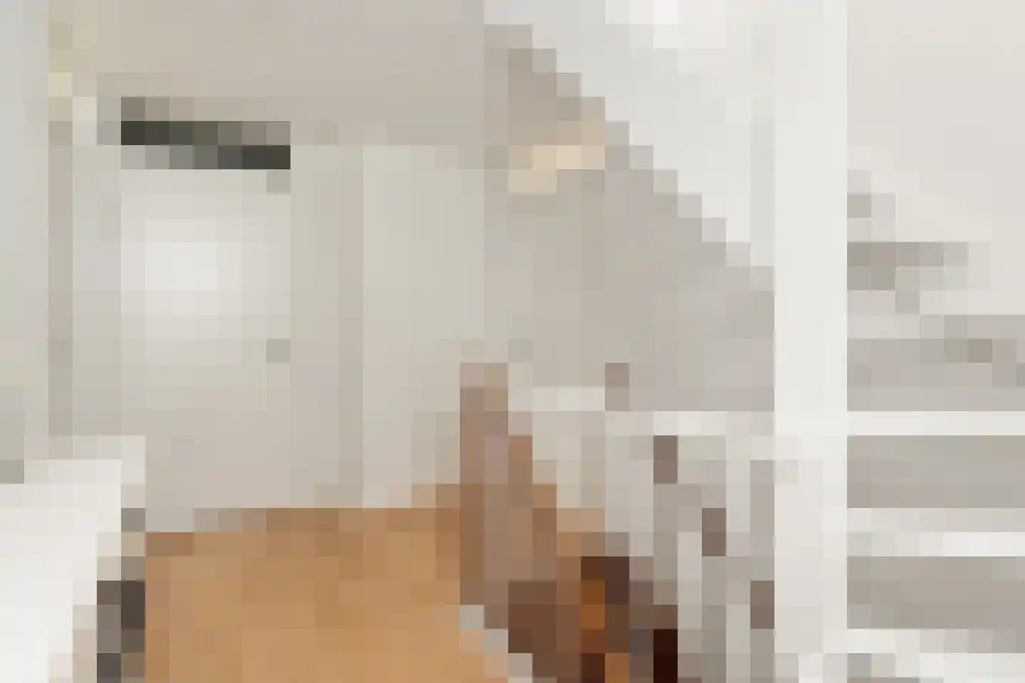 Alikruik 23 Noord-Scharwoude thumbnail 20