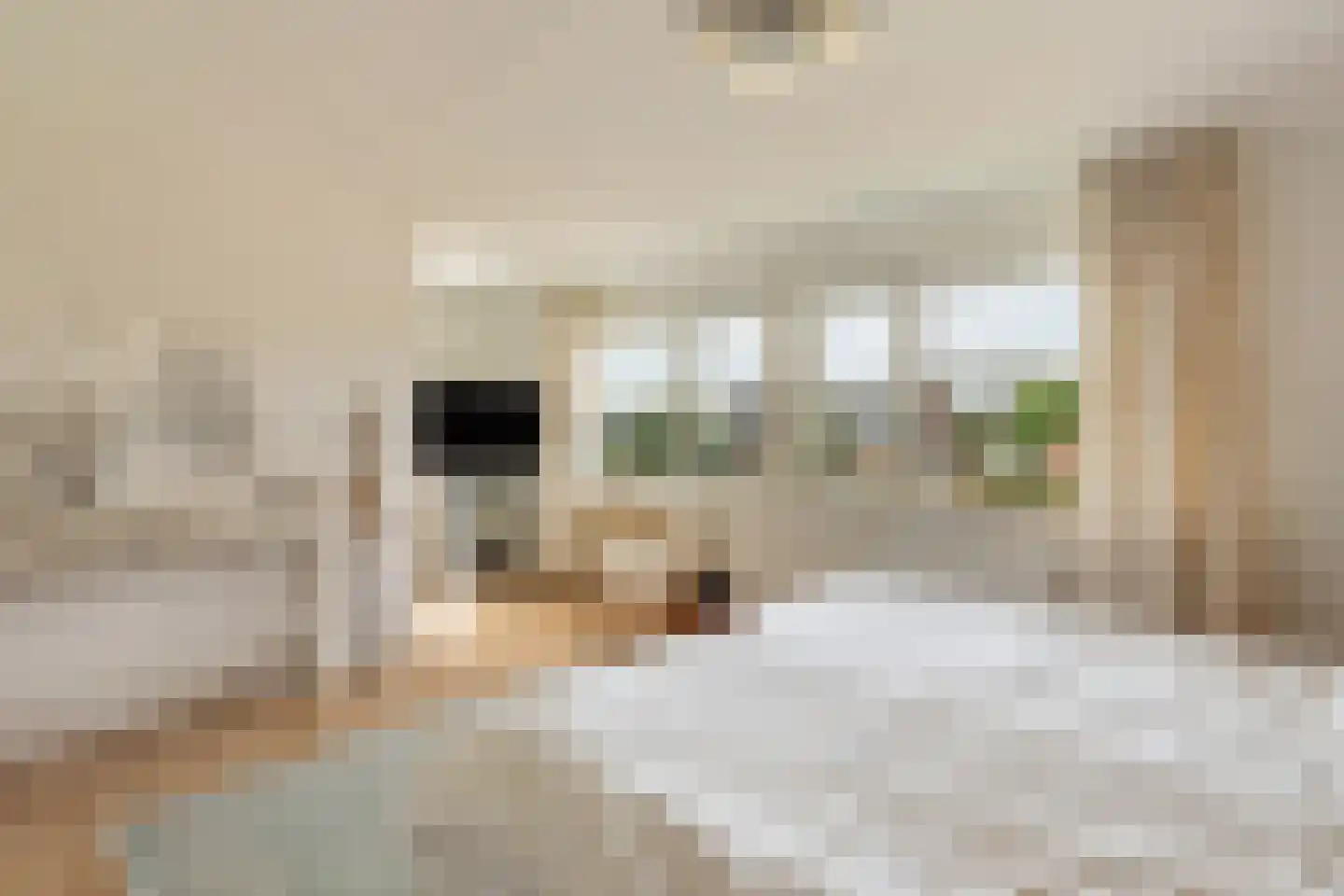 Alikruik 23 Noord-Scharwoude thumbnail 24