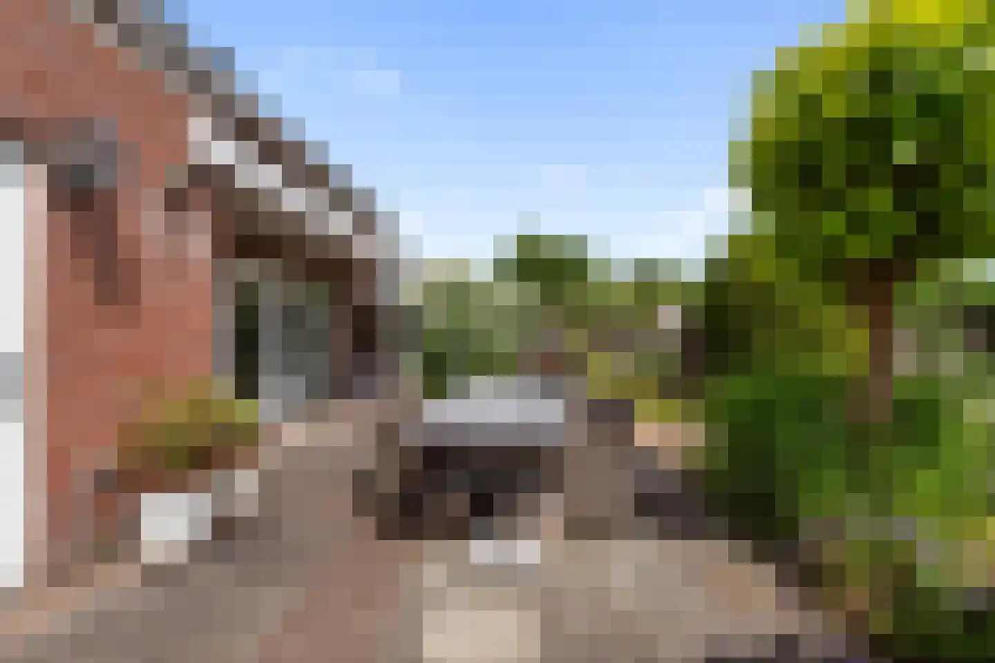 Alikruik 23 Noord-Scharwoude thumbnail 41