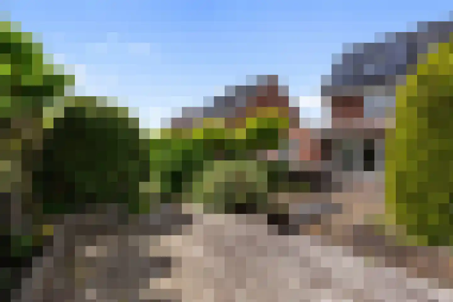 Alikruik 23 Noord-Scharwoude thumbnail 44